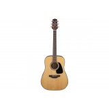 TAKAMINE GD10 NS